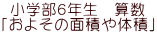 小学部６年生　算数 「およその面積や体積」