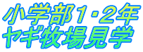 小学部１・２年 ヤギ牧場見学