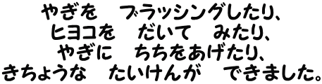 やぎを　ブラッシングしたり、 ヒヨコを　だいて　みたり、 やぎに　ちちをあげたり、 きちょうな　たいけんが　できました。