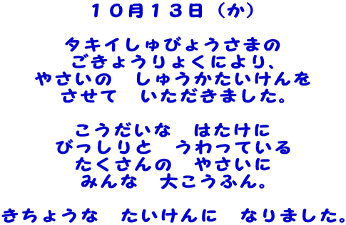 １０月１３日（か）  タキイしゅびょうさまの ごきょうりょくにより、 やさいの　しゅうかたいけんを させて　いただきました。  こうだいな　はたけに びっしりと　うわっている たくさんの　やさいに みんな　大こうふん。  きちょうな　たいけんに　なりました。