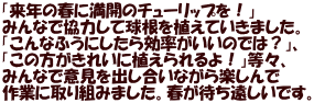 「来年の春に満開のチューリップを！」 みんなで協力して球根を植えていきました。 「こんなふうにしたら効率がいいのでは？」、 「この方がきれいに植えられるよ！」等々、 みんなで意見を出し合いながら楽しんで 作業に取り組みました。春が待ち遠しいです。