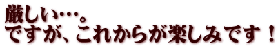 厳しい…。 ですが、これからが楽しみです！