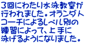 ３回にわたり水泳教室が 行われました。オランダ人 コーチによるレベル別の 練習によって、上手に 泳げるようになりました。