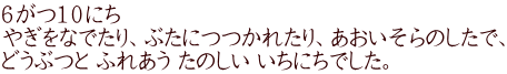 ６がつ１０にち やぎをなでたり、ぶたにつつかれたり、あおいそらのしたで、 どうぶつと ふれあう たのしい いちにちでした。