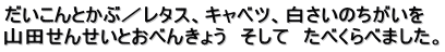 だいこんとかぶ／レタス、キャベツ、白さいのちがいを　 山田せんせいとおべんきょう　そして　たべくらべました。