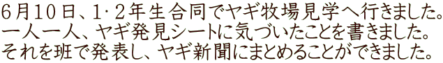 ６月１０日、１・２年生合同でヤギ牧場見学へ行きました。 一人一人、ヤギ発見シートに気づいたことを書きました。 それを班で発表し、ヤギ新聞にまとめることができました。