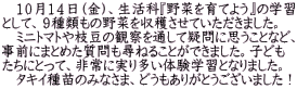 　１０月１４日（金）、生活科『野菜を育てよう』の学習 として、９種類もの野菜を収穫させていただきました。 　ミニトマトや枝豆の観察を通して疑問に思うことなど、 事前にまとめた質問も尋ねることができました。子ども たちにとって、非常に実り多い体験学習となりました。 　タキイ種苗のみなさま、どうもありがとうございました！