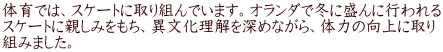 体育では、スケートに取り組んでいます。オランダで冬に盛んに行われる スケートに親しみをもち、異文化理解を深めながら、体力の向上に取り 組みました。