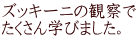 ズッキーニの観察で たくさん学びました。 