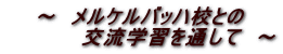 ～　メルケルバッハ校との 　　　　　交流学習を通して　～