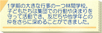 1学期の大きな行事の一つ林間学校。 子どもたちは集団での行動や決まりを 守って活動でき、友だちや他学年との 仲をさらに深めることができました。