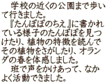 　学校の近くの公園まで歩い て行きました。 　『たんぽぽのちえ』に書かれ ている様子のたんぽぽを見つ けたり、植物の特徴を読んで その植物をさがしたり、オラン ダの春を体感しました。 　班で声をかけあって、なか よく活動できました。