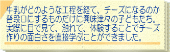 牛乳がどのような工程を経て、チーズになるのか 普段口にするものだけに興味津々の子どもたち。 実際に目で見て、触れて、体験することでチーズ 作りの面白さを直接学ぶことができました。