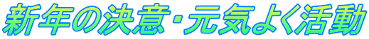 新年の決意・元気よく活動