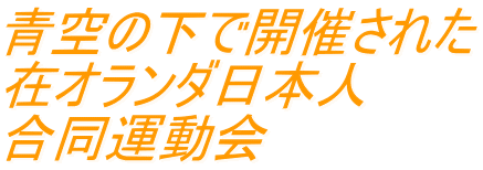 青空の下で開催された 在オランダ日本人 合同運動会