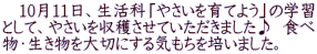 　10月11日、生活科「やさいを育てよう」の学習 として、やさいを収穫させていただきました♪  食べ 物・生き物を大切にする気もちを培いました。