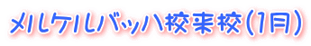 メルケルバッハ校来校（1月）