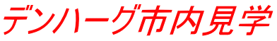 デンハーグ市内見学