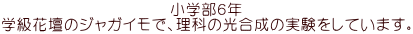 wUN wԒd̃WKCŁAȂ̌̎Ă܂B