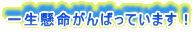 一生懸命がんばっています！