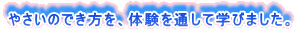 やさいのでき方を、体験を通して学びました。