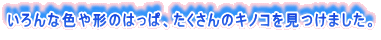 いろんな色や形のはっぱ、たくさんのキノコを見つけました。