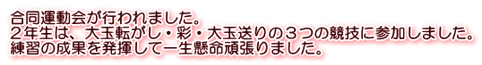 合同運動会が行われました。 ２年生は、大玉転がし・彩・大玉送りの３つの競技に参加しました。 練習の成果を発揮して一生懸命頑張りました。