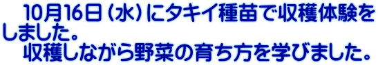 　１０月１６日（水）にタキイ種苗で収穫体験を しました。 　収穫しながら野菜の育ち方を学びました。