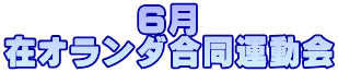 　　　　６月 在オランダ合同運動会